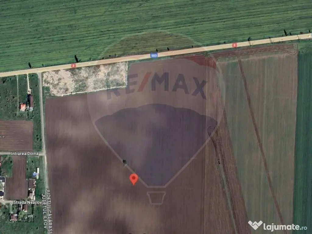 Teren Belciugatele, limita Branesti | DN 3 