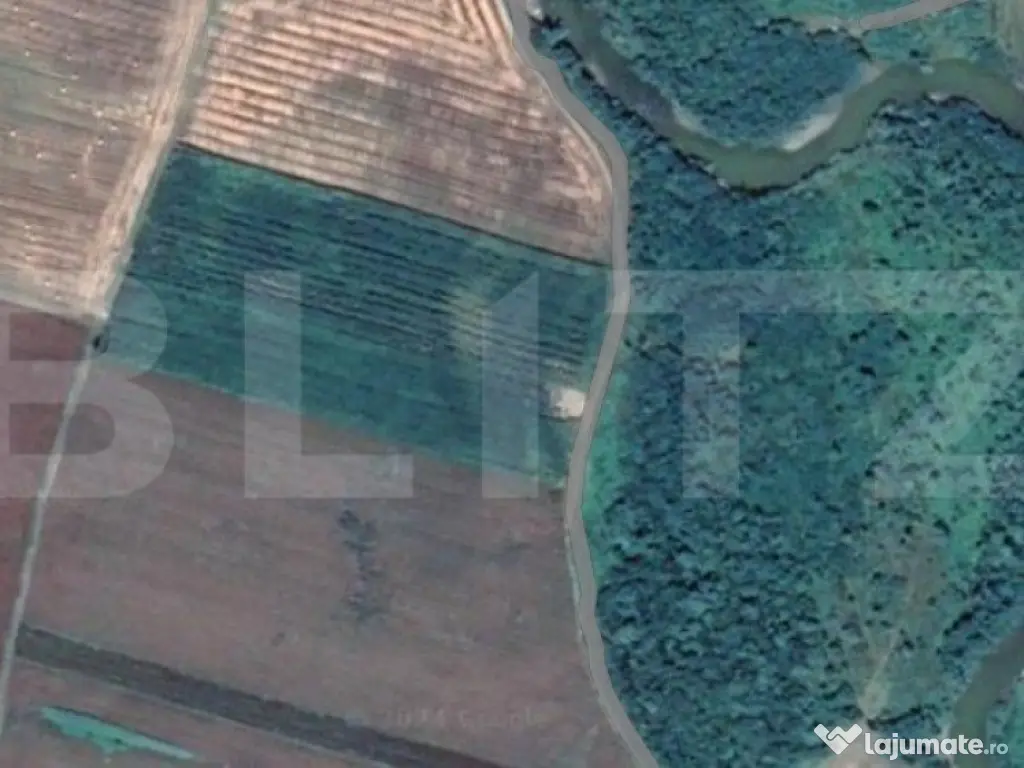 Teren Arabil în Groapa Sărății, 50 ari