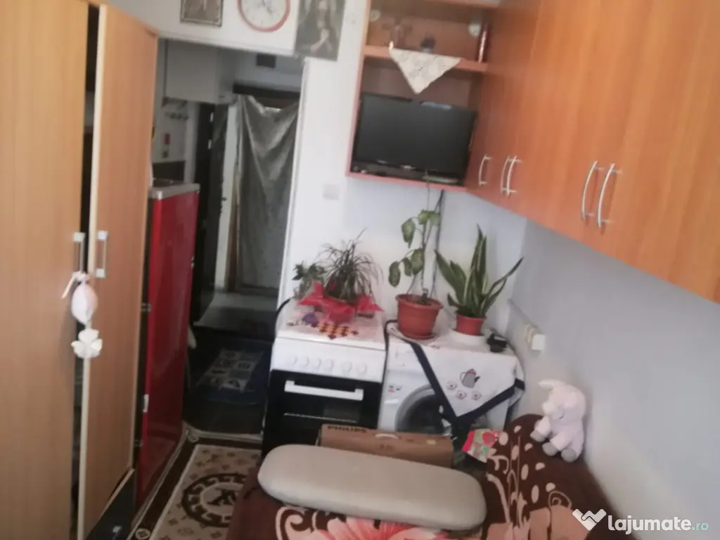 ALUNISULUI - GARSONIERA CONFORT 2, 11 MP.