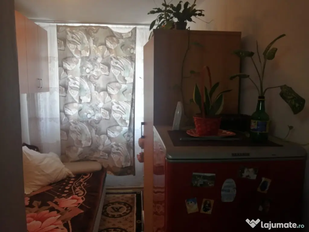 ALUNISULUI - GARSONIERA CONFORT 2, 11 MP.