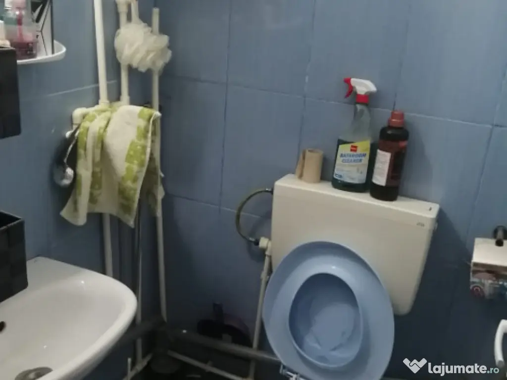 ALUNISULUI - GARSONIERA CONFORT 2, 11 MP.