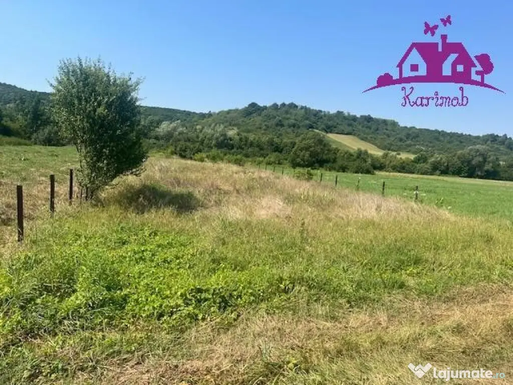 Teren intravilan Hidiselul de Sus 