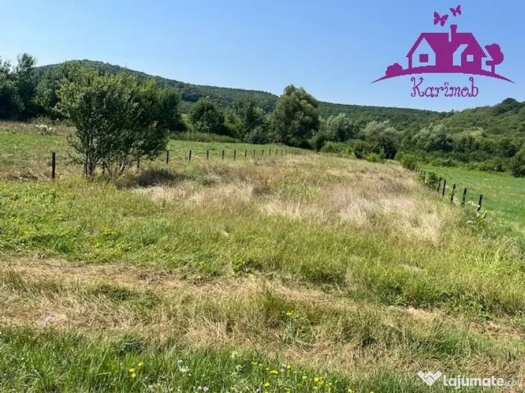 Teren intravilan Hidiselul de Sus 