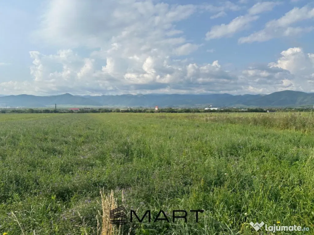 Teren extravilan 4800mp acces auto, Cristian