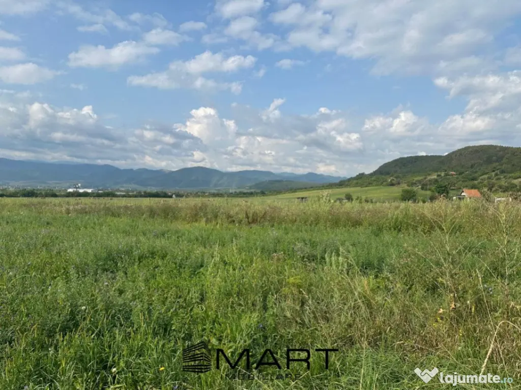 Teren extravilan 4800mp acces auto, Cristian