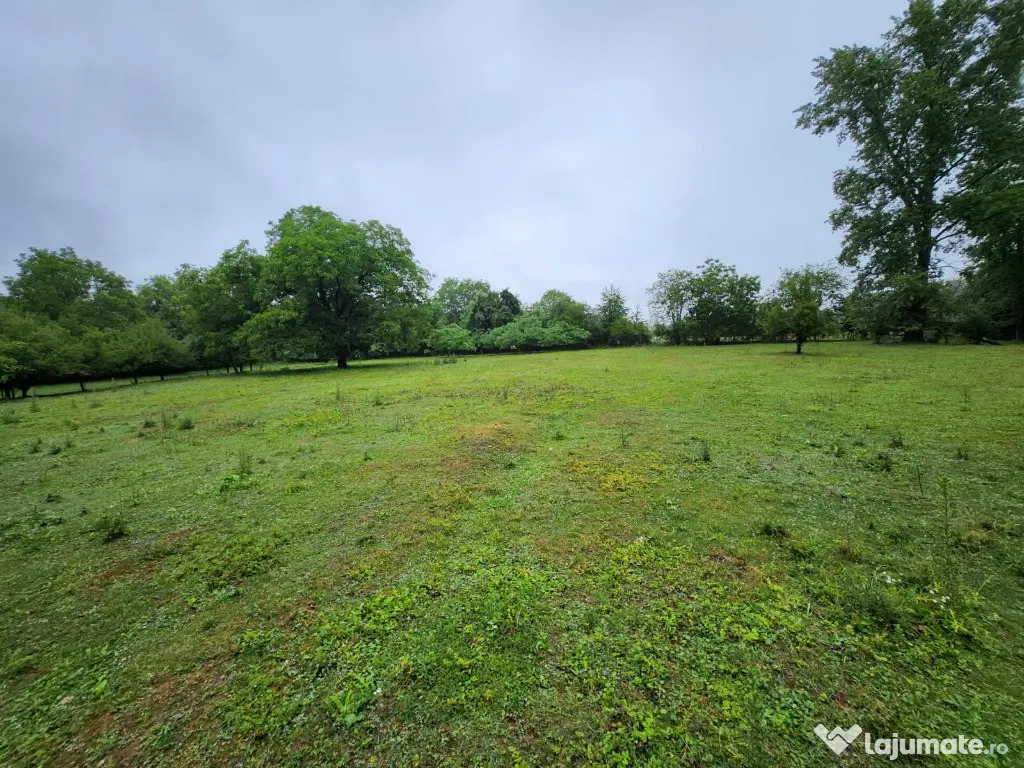 Evadare intr-un Paradis Privat: Proprietate Unică în Valenii de Munte 