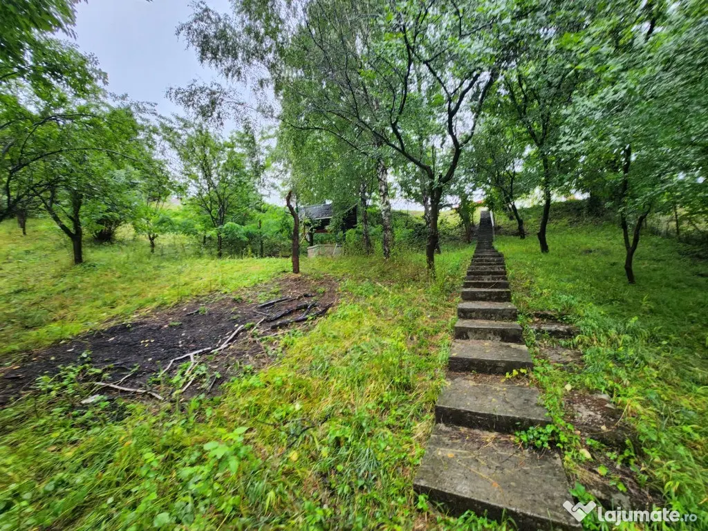 Evadare intr-un Paradis Privat: Proprietate Unică în Valenii de Munte 