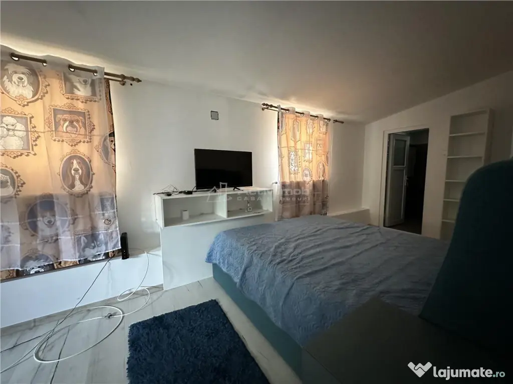 Colentina DEDEMAN,casa singur curte 