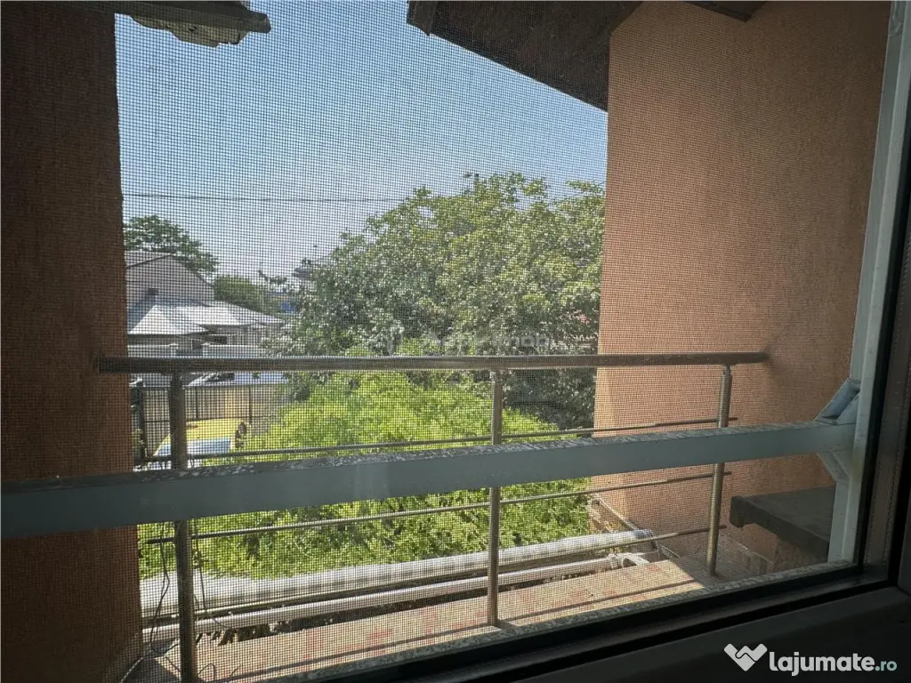 Colentina DEDEMAN,casa singur curte 