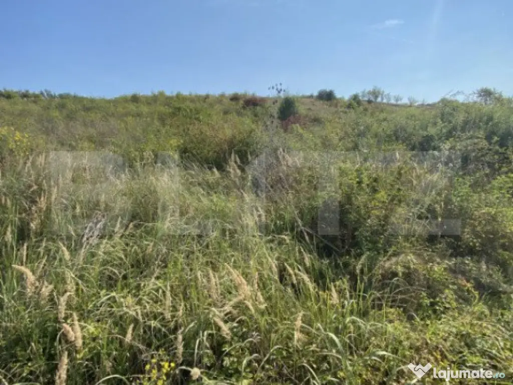 Teren intravilan/extravilan centura Zalau, 8200 mp