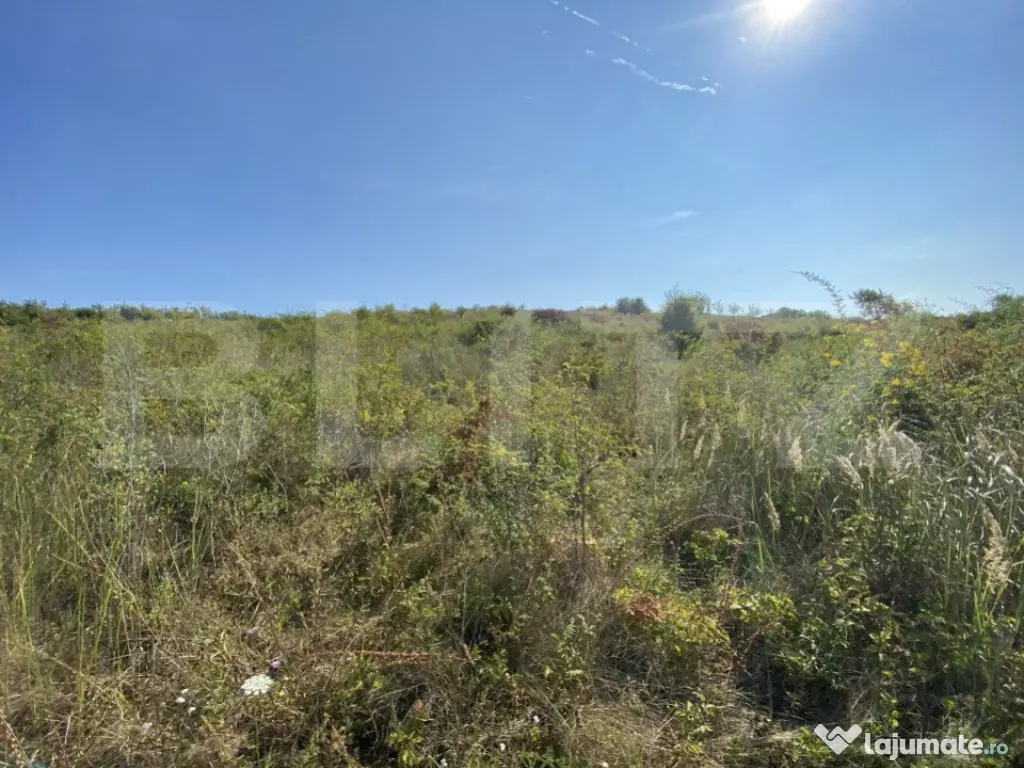 Teren intravilan/extravilan centura Zalau, 8200 mp