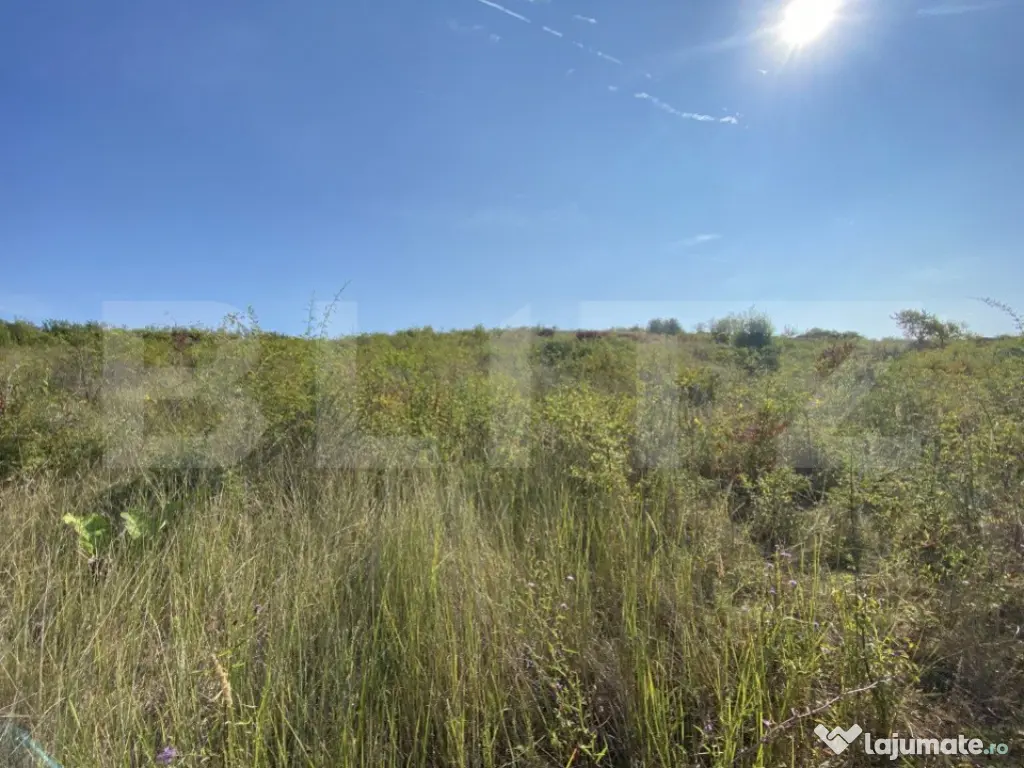 Teren intravilan/extravilan centura Zalau, 8200 mp