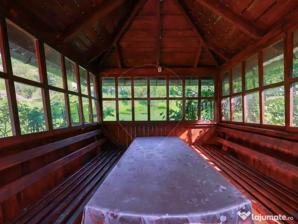 Casă cu anexe și teren de 4177 mp de vânzare, Munteni,... 