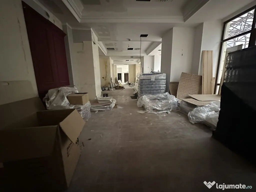 Calea Victoriei 500 mp open space terasa