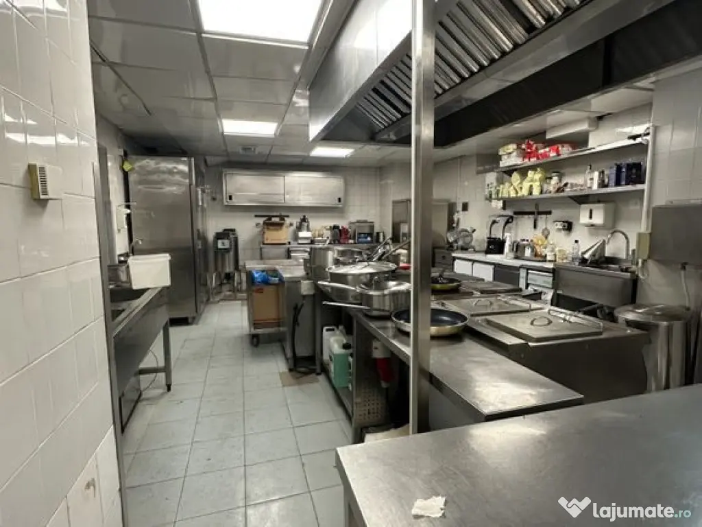 Calea Victoriei 500 mp open space terasa