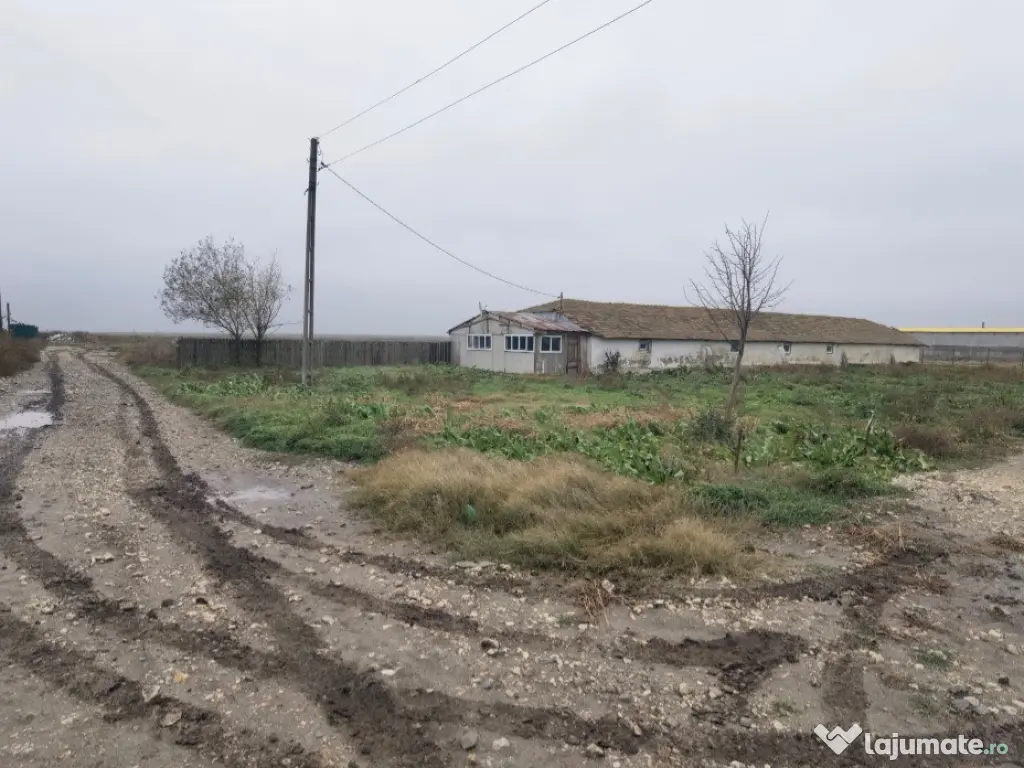 Topraisar langa Biosera Sofra teren 4649 mp cu hala 347 mp