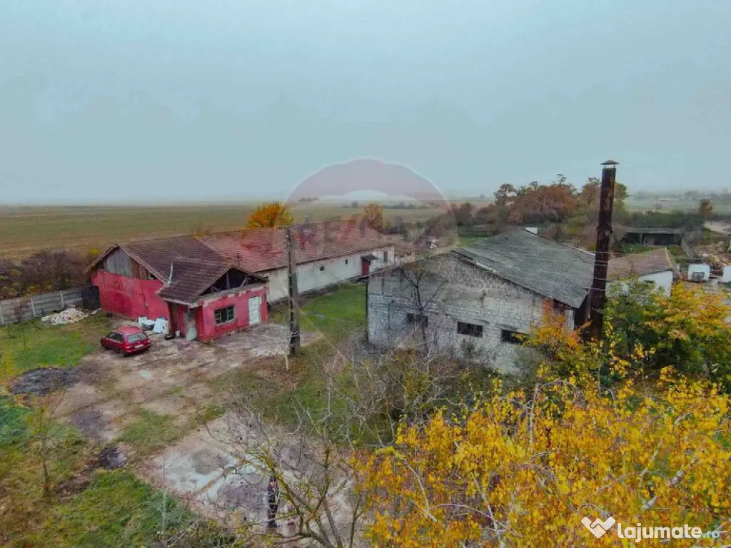 Teren 7500mp și construcții de vânzare, Tilecuș