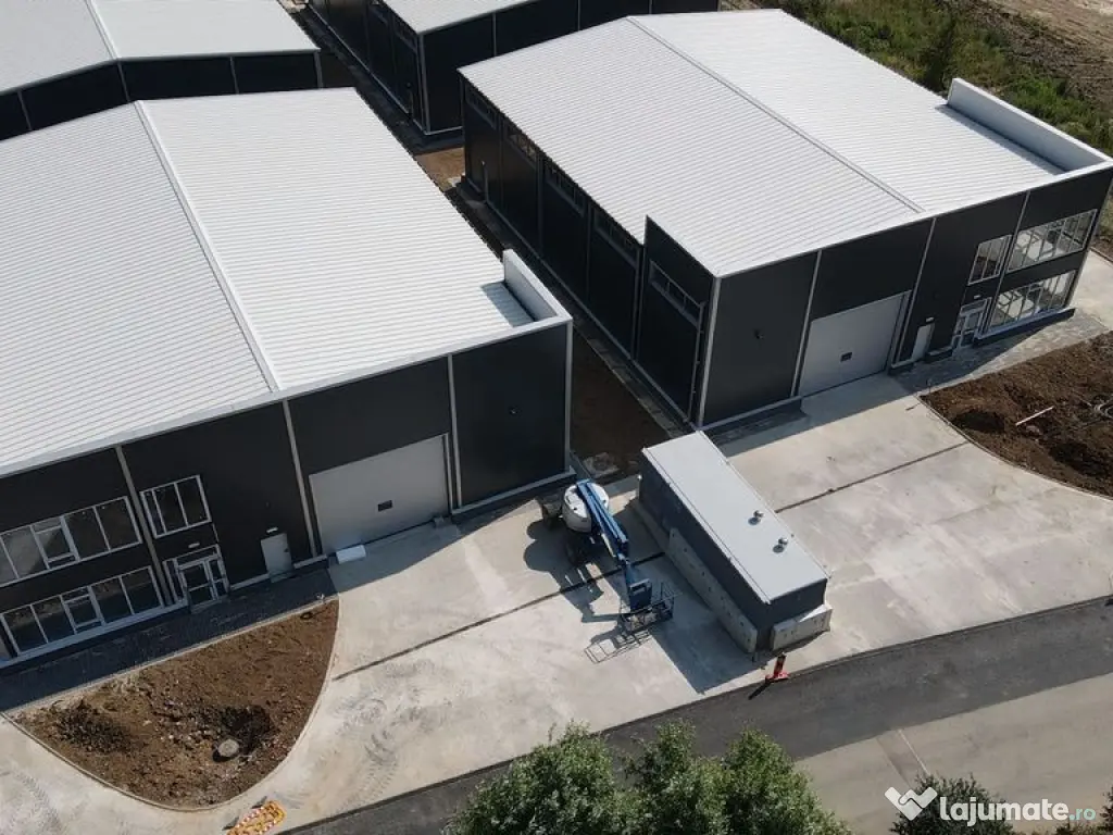 Zona Drumul intre Tarlale - hala noua - 600mp