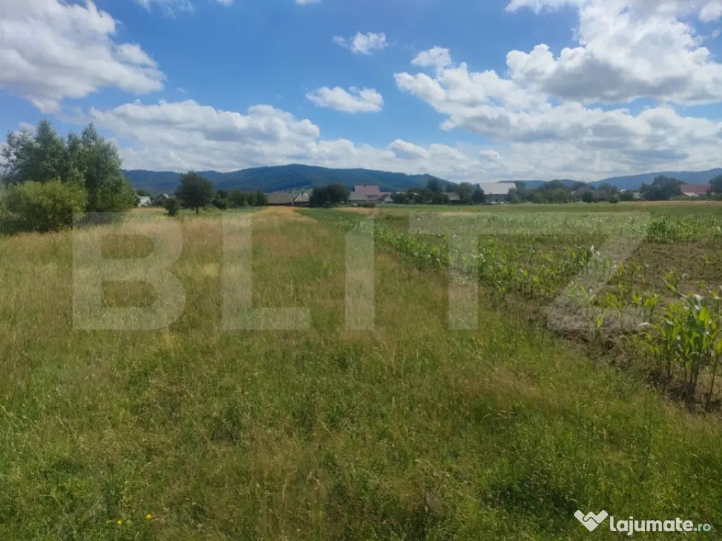 Teren intravilan la sosea, 6400 mp, Vicov de Sus