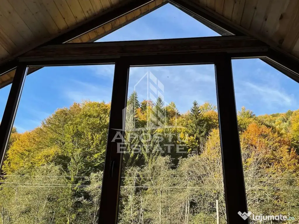 Cabana de inchiriat in Apuseni, Ciubar, Fara vecini, Fois... 