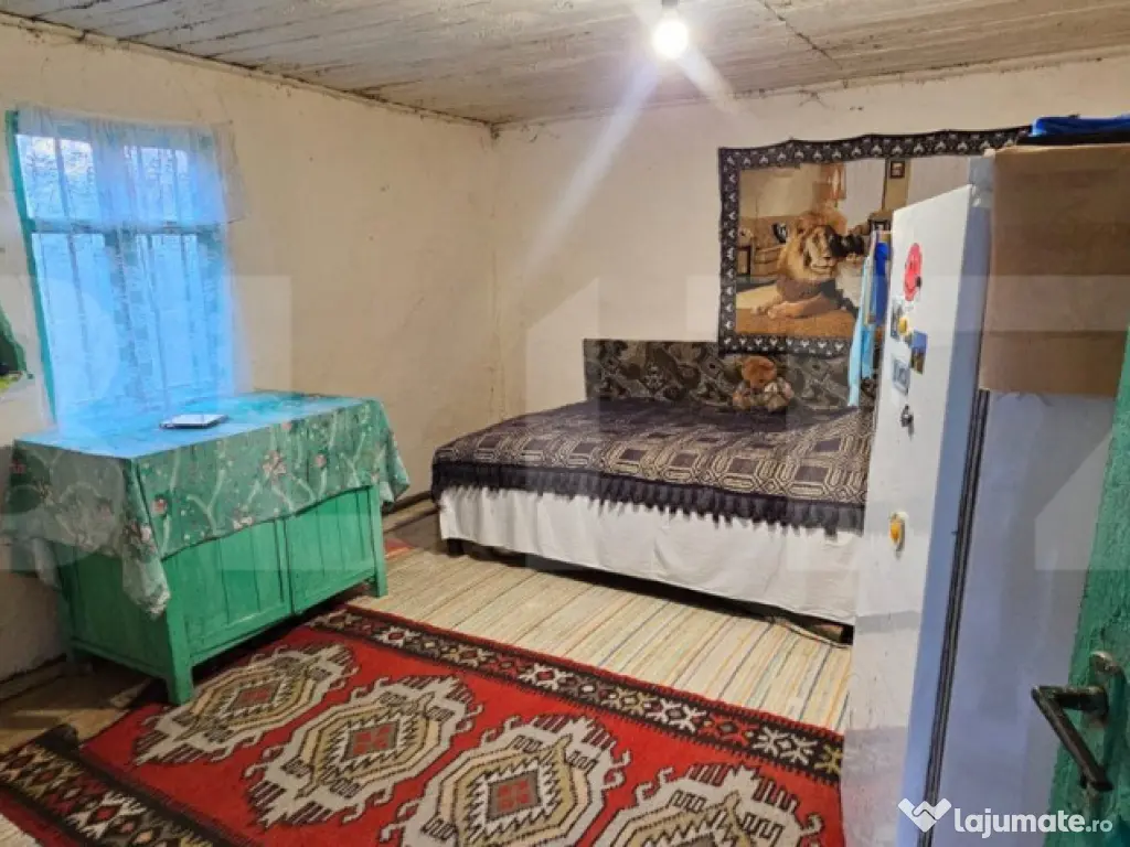 Casa rustica de vacanta (62mp) in sat Magura cu 1000mp teren