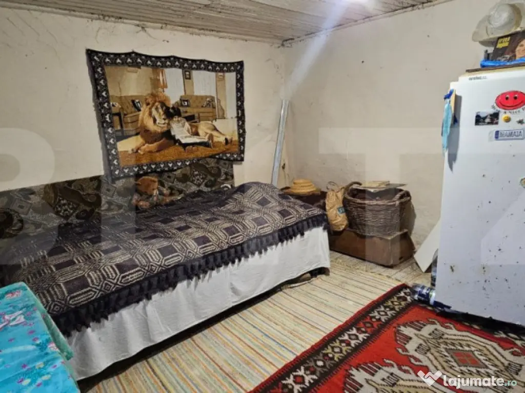 Casa rustica de vacanta (62mp) in sat Magura cu 1000mp teren