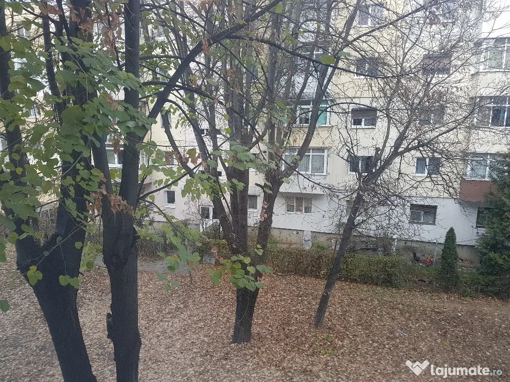 Apartament doua camere, etaj 2, renovat, liber, Narcisa 