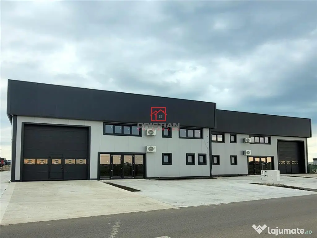 Depozit/hala/spatiu industrial Domnesti - Centura, Ilfov 