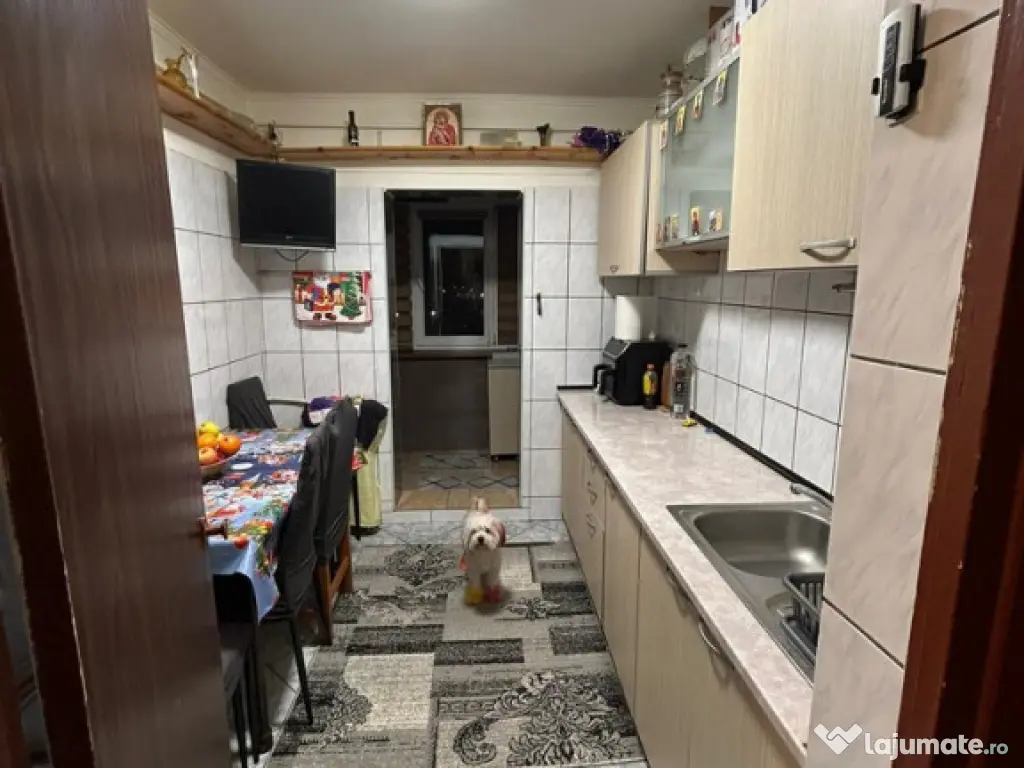 MIHAI BRAVU - 2cam, cf1A, dec, 4/4, G,F,T - 52000 euro 