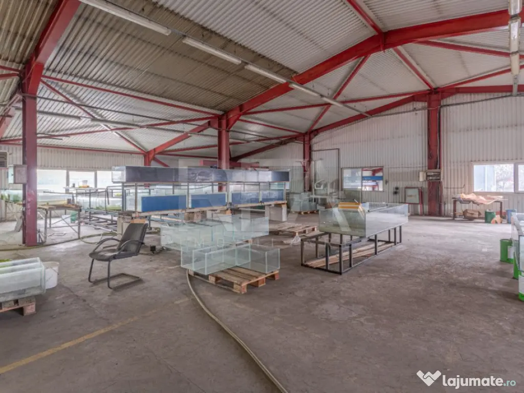 Doua hale / spatiu industrial + birouri 5000 mp / Sector 4