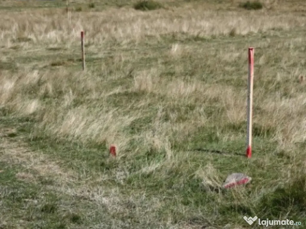 Teren intravilan zona Paltinis