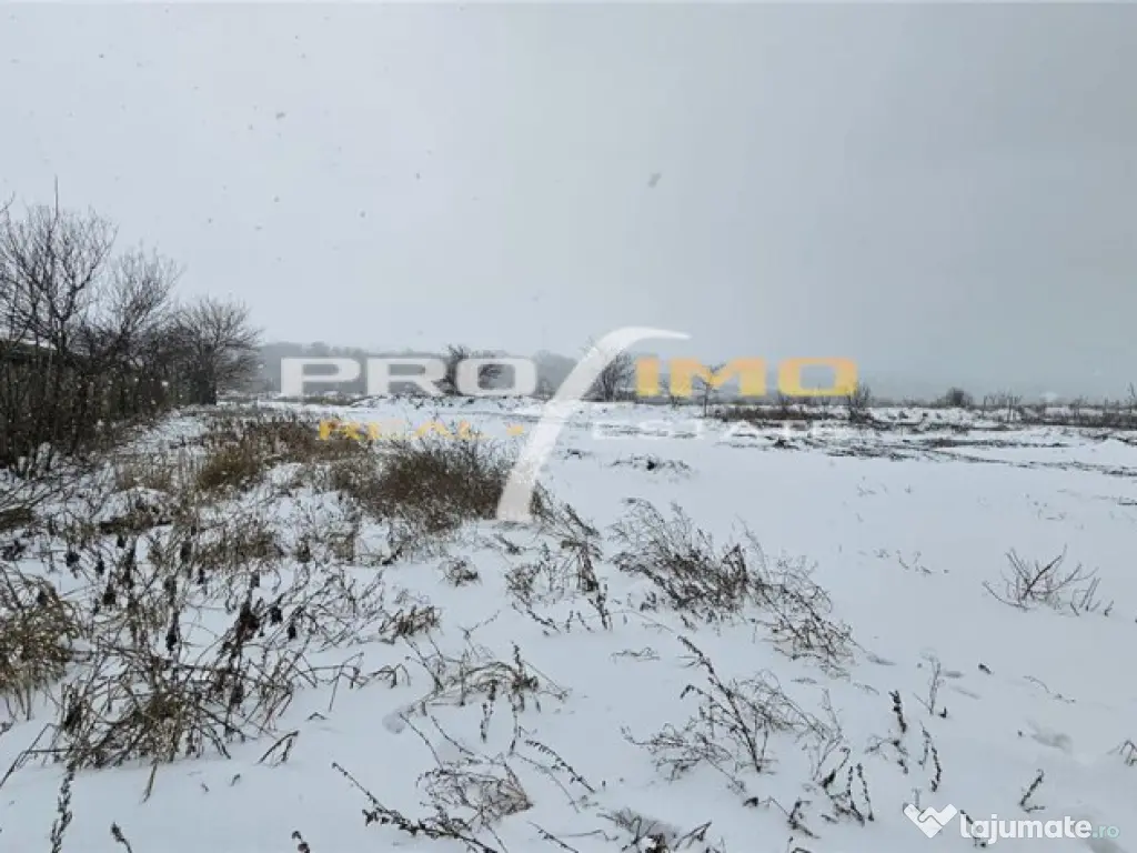 Teren 600mp. curs constructii, Utilitati, Palazu Mare, str.S 