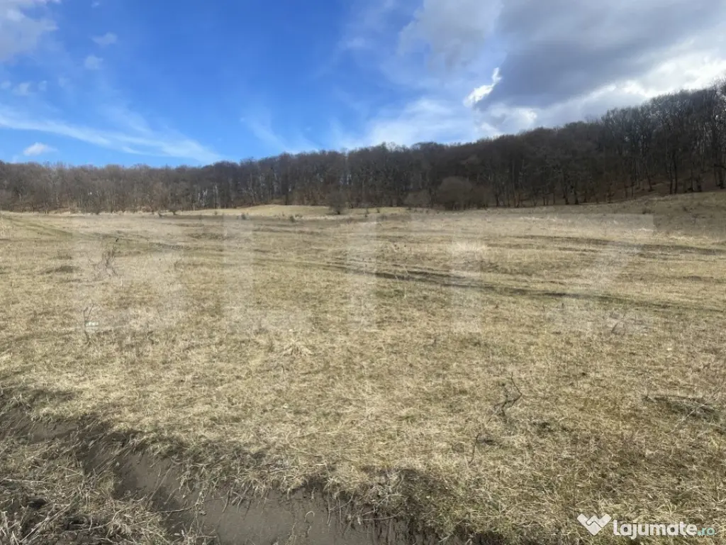 Teren extravilan de vanzare, 2,4 hectare, zona drumul Tarpiu