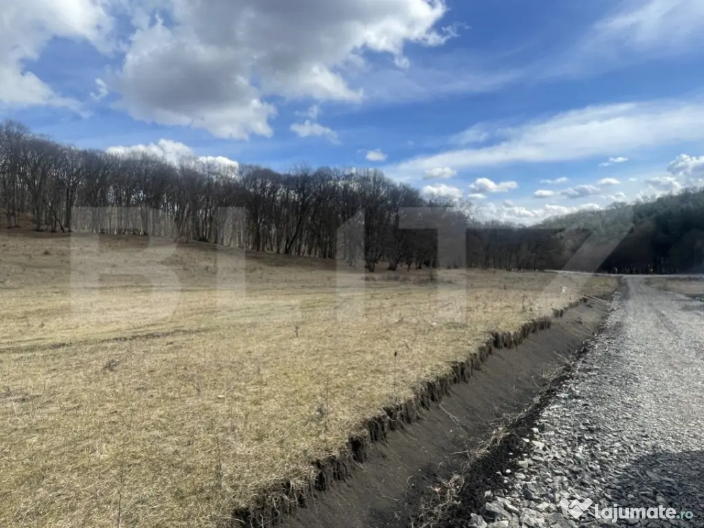 Teren extravilan de vanzare, 2,4 hectare, zona drumul Tarpiu