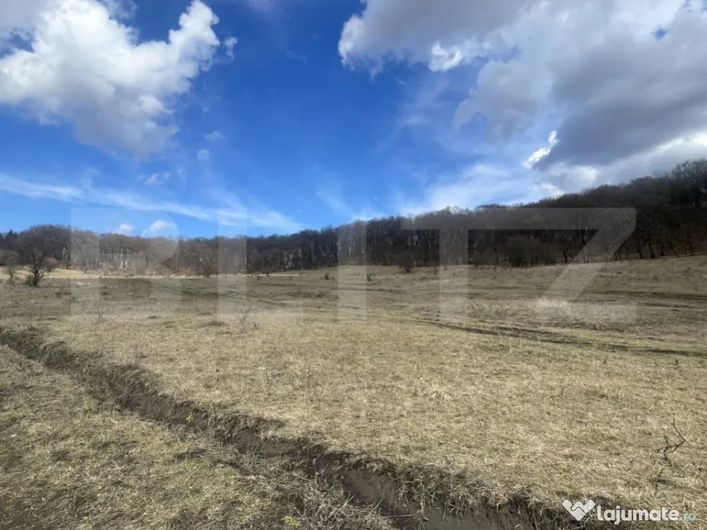 Teren extravilan de vanzare, 2,4 hectare, zona drumul Tarpiu