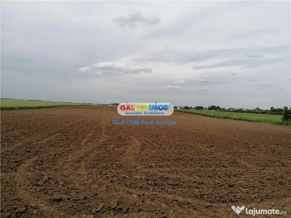 Teren Balotesti str Fabricii 56000 mp apropire cartiere case