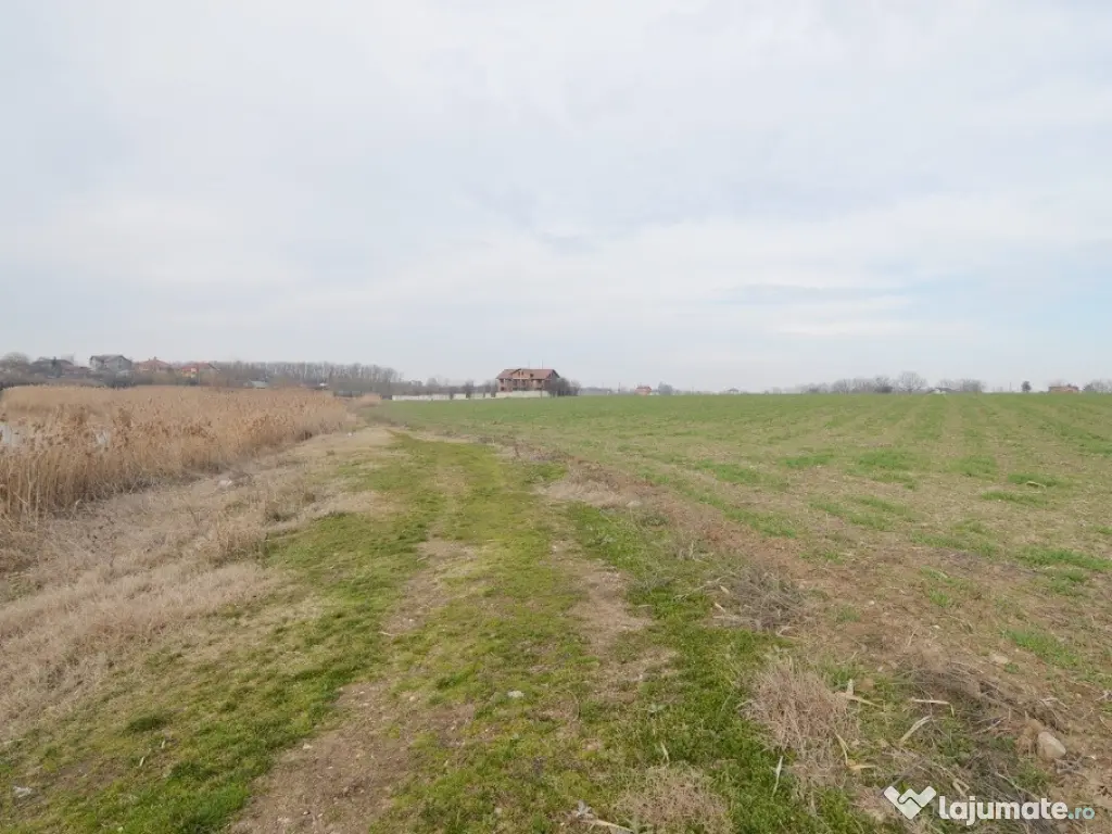 Loturi Teren Frumusani - Lac Pasarea | Localizare Extraordinara 