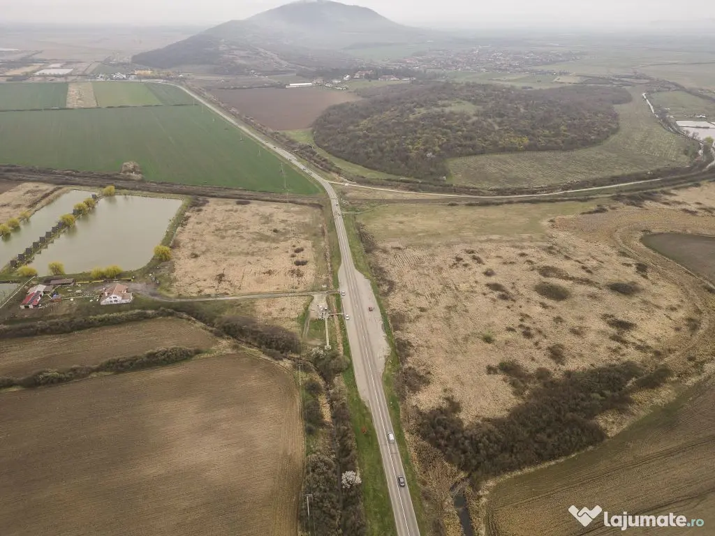 Teren extravilan in Ineu