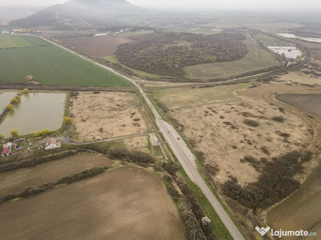 Teren extravilan in Ineu