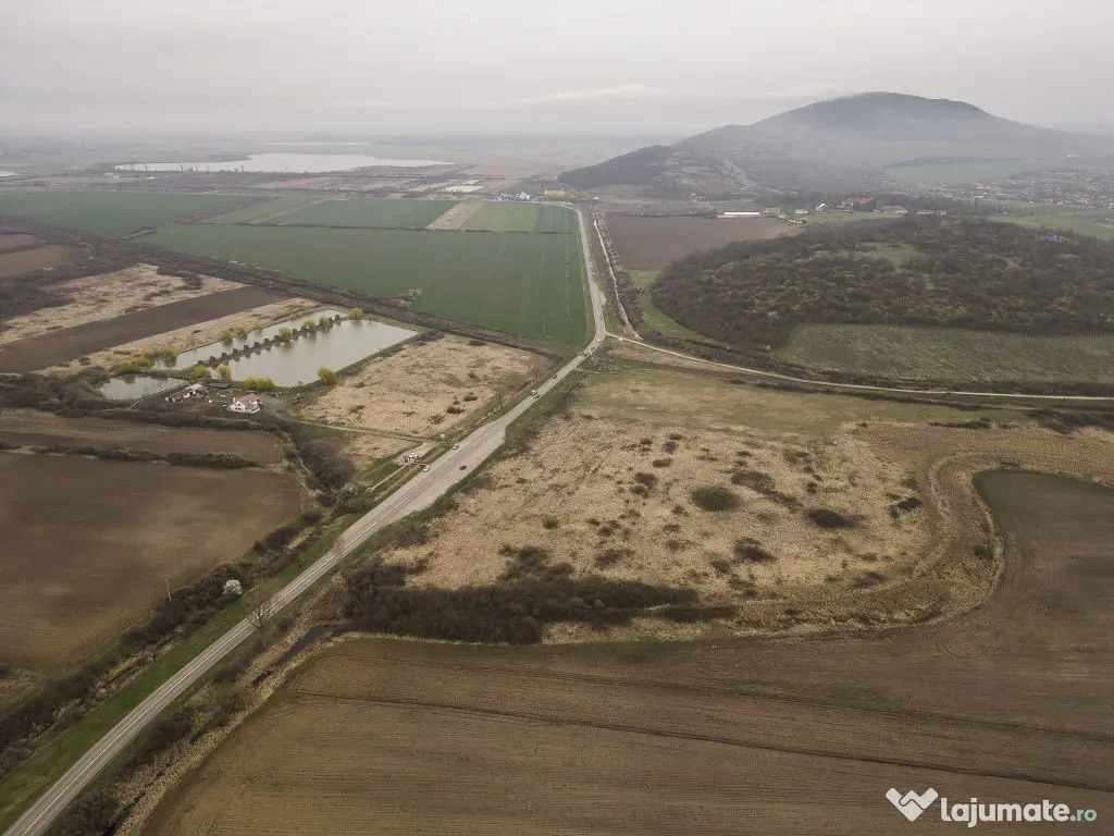 Teren extravilan in Ineu