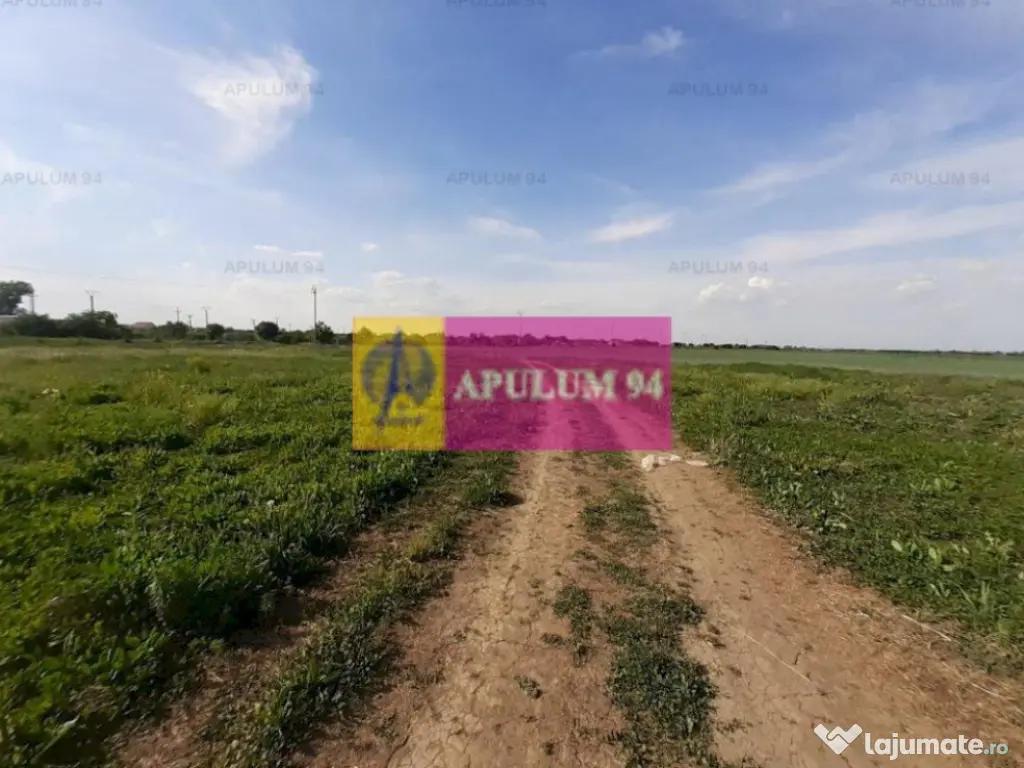 Teren construcție casă - 1 Decembrie - Zona Metropolita... 