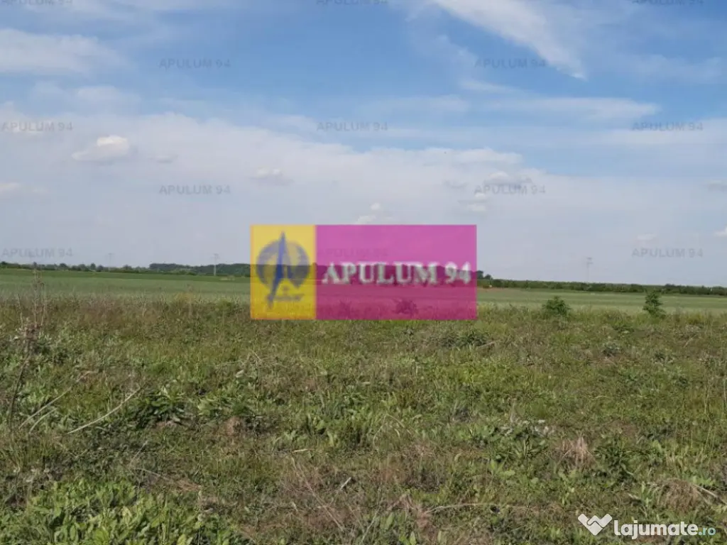 Teren construcție casă - 1 Decembrie - Zona Metropolita... 