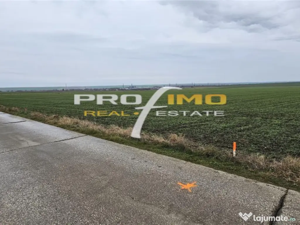 Plaja Corbu-Teren 4200mp. la numai 8 euro /mp. Soseaua asfal 