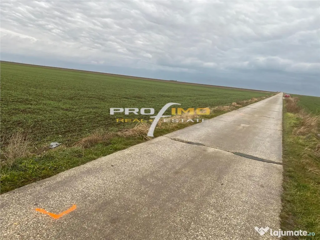 Plaja Corbu-Teren 4200mp. la numai 8 euro /mp. Soseaua asfal 