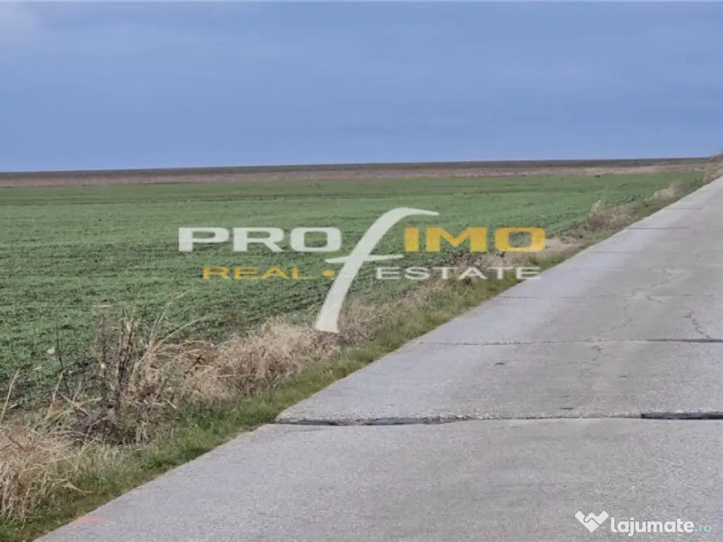 Plaja Corbu-Teren 4200mp. la numai 8 euro /mp. Soseaua asfal 