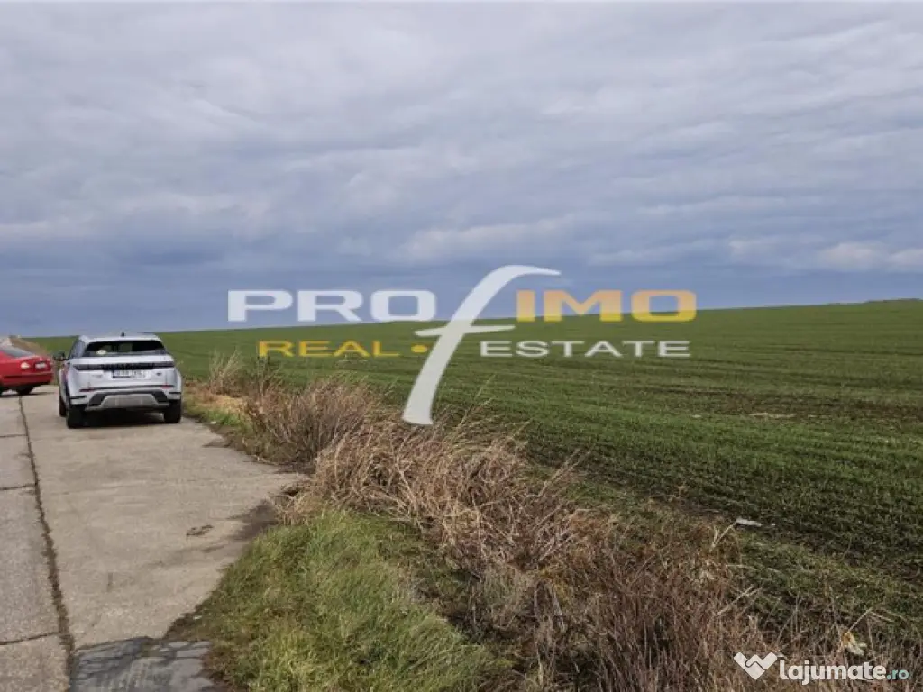 Plaja Corbu-Teren 4200mp. la numai 8 euro /mp. Soseaua asfal 