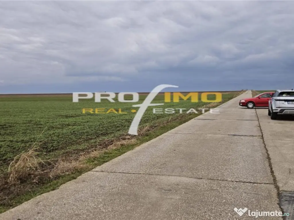 Plaja Corbu-Teren 4200mp. la numai 8 euro /mp. Soseaua asfal 