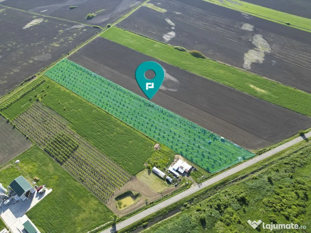 Livadă de nuci și pruni 2.4ha în Variașu Mare 