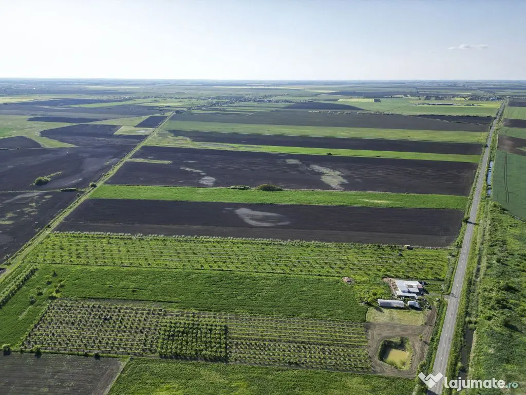 Livadă de nuci și pruni 2.4ha în Variașu Mare 