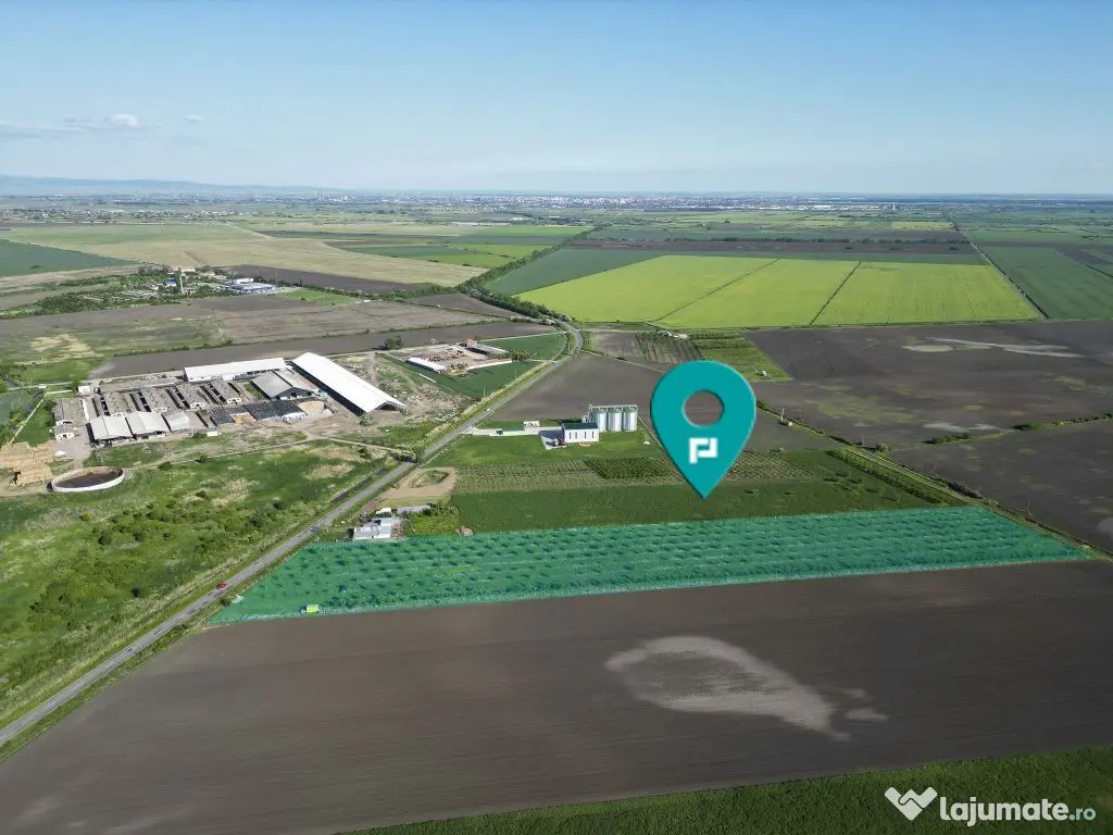 Livadă de nuci și pruni 2.4ha în Variașu Mare 